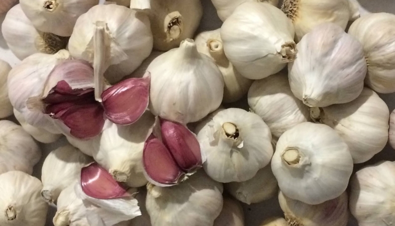 Teste sfuse, calibro piccolo di Aglio Rosso di Proceno (conf. da 2kg) Aglio Rosso di Proceno