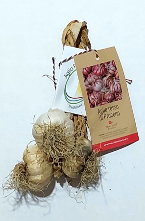 Treccia da 3 Teste +Grandi Aglio Rosso di Proceno Presidio Slow Food